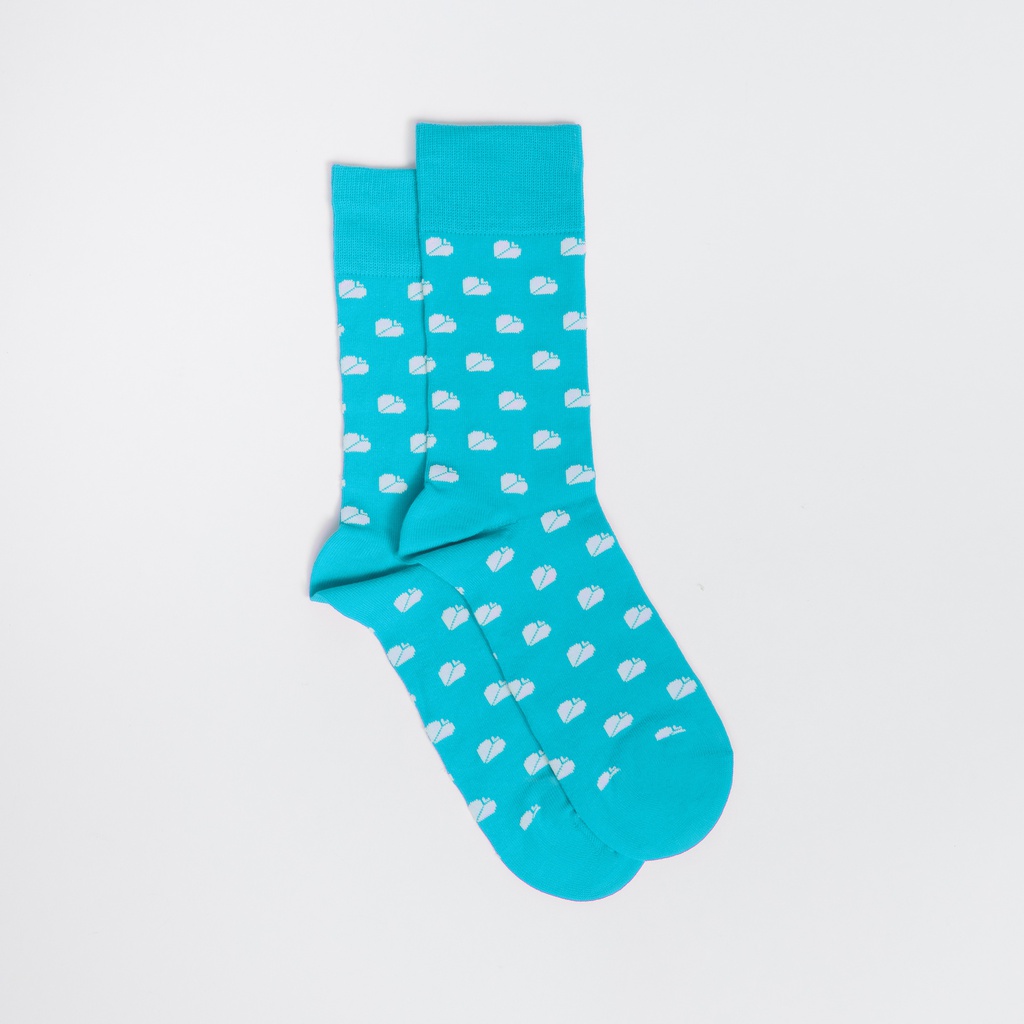 Chaussettes turquoise (26-30)