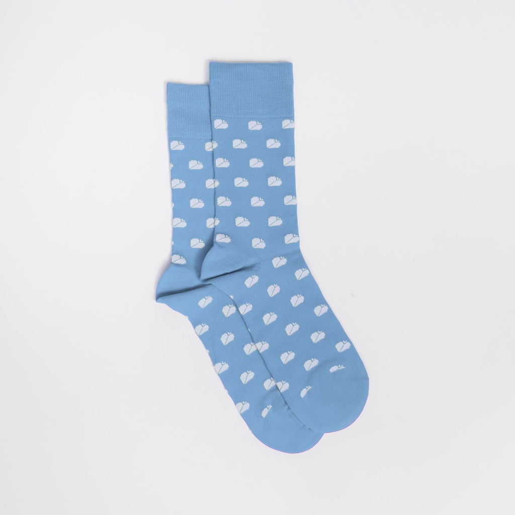 Chaussettes bleues﻿ (26-30)